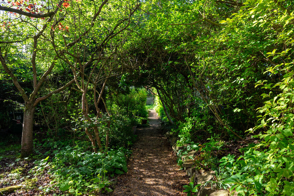 Knowle Lane Ecclesall